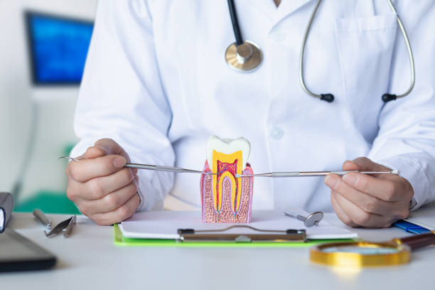 Best Emergency Dental Care for Broken or Chipped Teeth in Breckenridge, MI